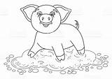 Puddle Coloring Designlooter Dirt Piggy Standing Royalty Vector Funny Book Stock sketch template