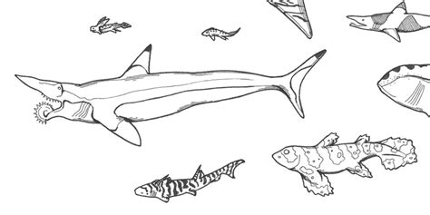 prehistoric sharks hand drawn design fine art print handmade etsy canada
