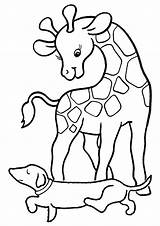 Giraffe Coloring Pages Books sketch template