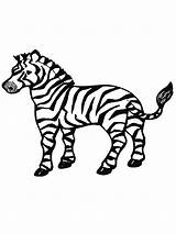 Zebra Mewarnai Cute Bestcoloringpagesforkids Zebras Buku sketch template