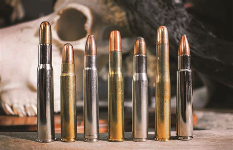 caliber cartridges marvelously   middle big bores gun  survival