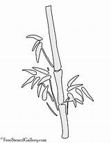 Bamboo Freestencilgallery sketch template