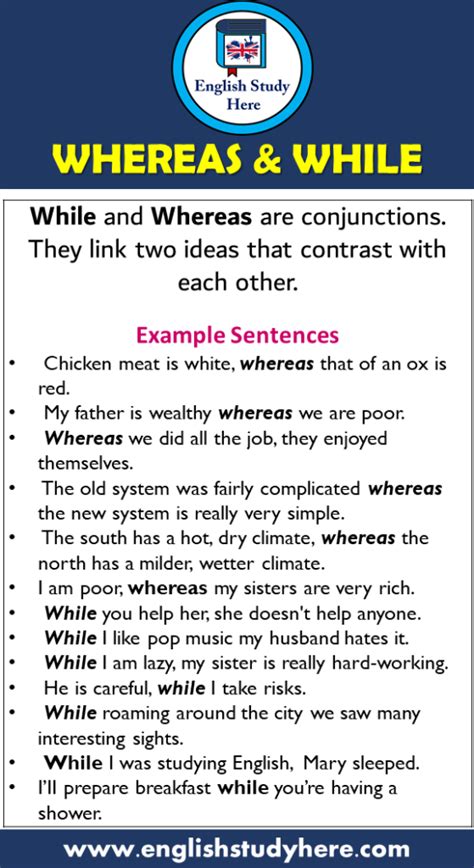 sentences english study