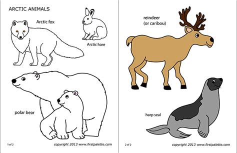 printable arctic animals coloring pages arctic   tundra