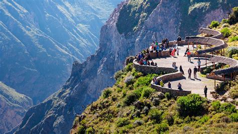 besuch des colca canyons und der kondor sichtung wo sie den herrn des