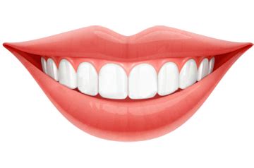 teeth png images tooth png image
