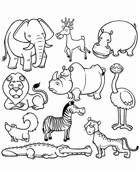 african animals coloring pages elegant high quality picture  african