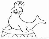 Circus Seal Coloring Tent Clipart Getdrawings sketch template