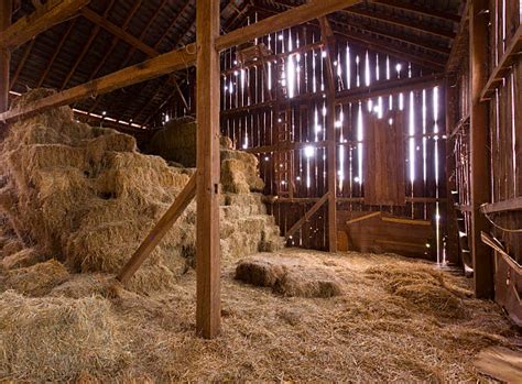 barn stock  pictures royalty  images istock