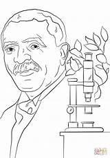 Coloring George Carver Washington Pages Printable Color Drawing Popular Simple Getcolorings Coloringhome Comments sketch template