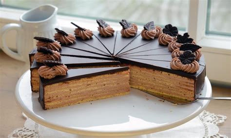 dr oetker rezepte kuchen dcplantsandotherstuff