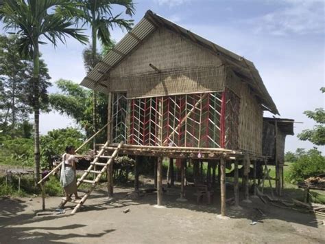 indigenous traditional bamboo houses  saving lives  flood ravaged assam
