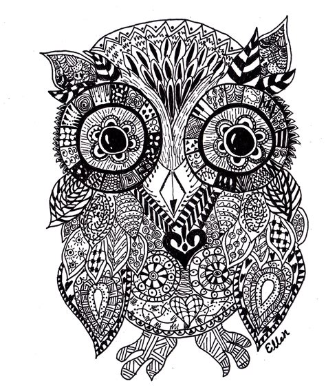 ink drawing   owls face  lots   patterns