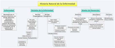 Historia Natural De La Enfermedad Xmind Online Library