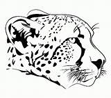 Cheetah sketch template