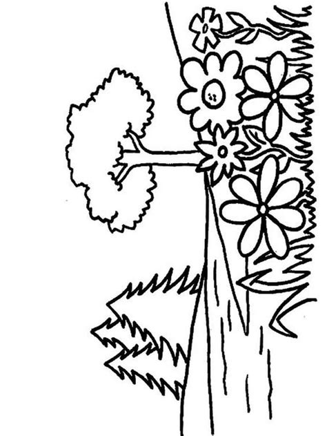 flower garden coloring pages   winter