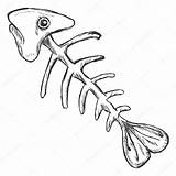 Fish Skeleton Drawing Vector Sketch Getdrawings sketch template