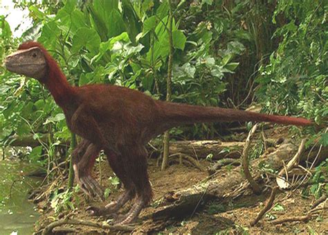 pyroraptor prehistoric monsters wiki fandom powered  wikia