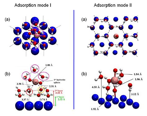 adsorption modes   uranyl ion   hydrated ni face