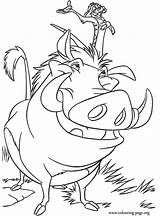 Coloring Timon Pumbaa Pages Popular Lion King sketch template
