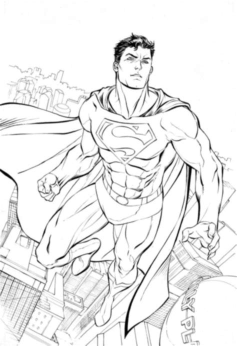 draw superman apk  android