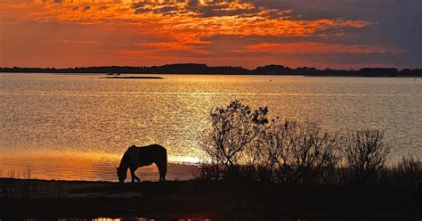 assateague raises fees