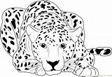 Cheetah Coloring Pages Running Printable Color Sitting Print Baby Colouring Kids Adults Drawing Coloringpages101 Cheetahs Cub Animal Easy Draw Cute sketch template