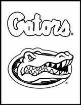 Coloring Gators Florida Pages Logo Gator Printablecoloringpages Template sketch template
