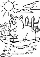 Schwein Bauernhof Malvorlage Malvorlagen sketch template
