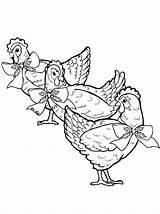 French Coloring Three Hen Hens Coloringsky sketch template