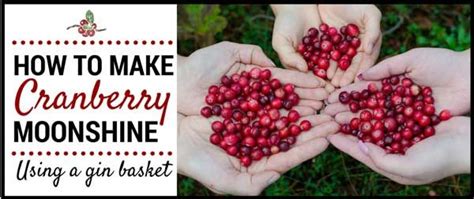 How To Make Cranberry Moonshine Moonshine Recipes Cranberry Moonshine