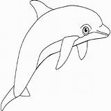 Dolphin Dolphins Golfinhos sketch template