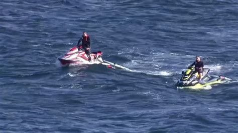 el trágico momento en que un nadador fue devorado por un tiburón blanco