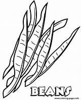 Vegetable Bean Topcoloringpages sketch template