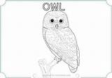 Owl Snowy Coloring Barn Color Drawing Getdrawings Pages Printable Getcolorings sketch template