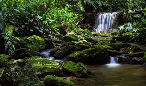 cascades  peaceful cascade   tijuca forest floresta da tijuca