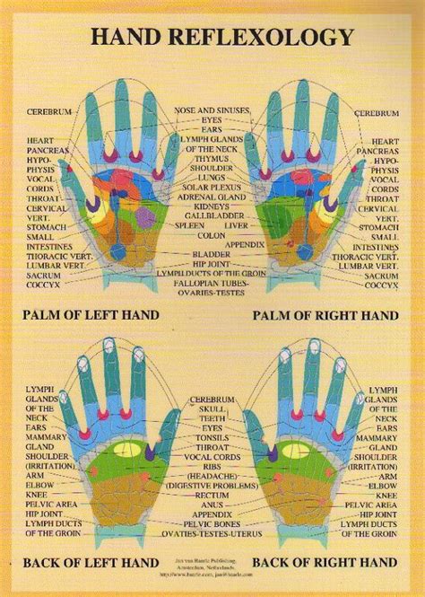 Hand Reflexology A4 Chart Acumedic Shop