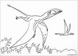 Dimorphodon Coloring Pages Pterodactyl Ceratosaurus Drawing Color Dinosaurs Dinosaur Printable sketch template