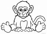 Monkey Coloring Pages Drawing Spider Realistic Printable Kids Easy Face Color Cool2bkids Baby Clipartmag Getdrawings Print Drawings Monke Getcolorings sketch template