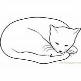 Cat Coloring Dreams Sweet Pages Ear Scratching His Coloringpages101 Kids sketch template