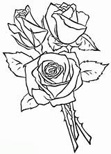 Malvorlage Malvorlagen Rosen Ausmalbilder Ausdrucken Ausmalbild Drucken Zeichnung Mandala Blumen sketch template