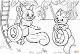 Coloring Swing Tire Swinging Pages Cat Squirrel Printable Drawings Animals sketch template