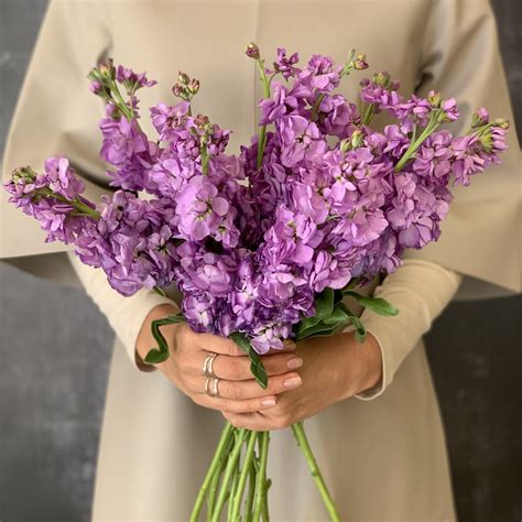 stock flower bouquet red square flowers