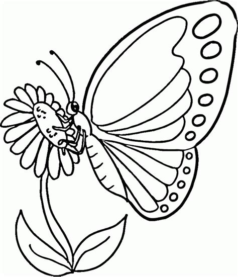monarch butterfly coloring page coloring home