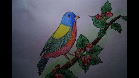 draw flower  bird youtube
