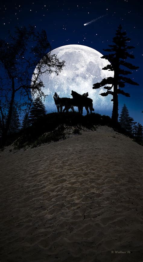 howling   moon photograph  brian wallace fine art america
