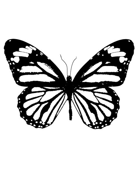butterfly stencil  save time  start