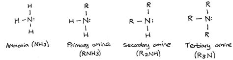 amines  amino acids reviseim