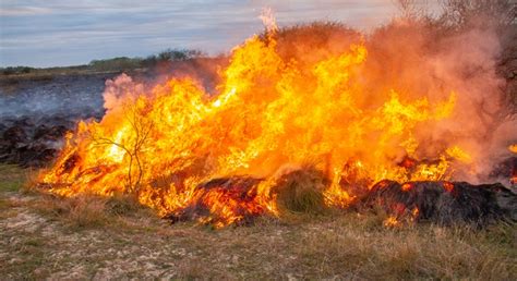 prescribed burning lectureship offered virtually   person