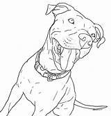 Pitbull Coloring Pages Dog Drawing Printable Puppy Taking Walk Puppies Pit Bull Sheet Educativeprintable Cute Educative Colorir Step Kids Getdrawings sketch template